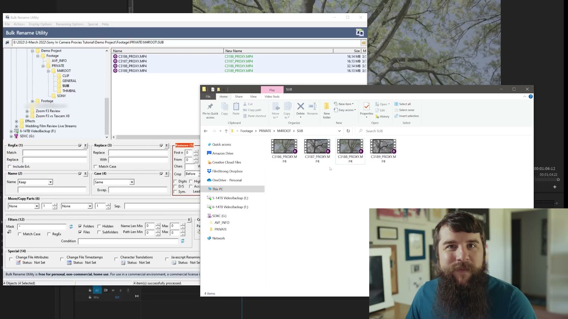 The renamed proxy files in the folder