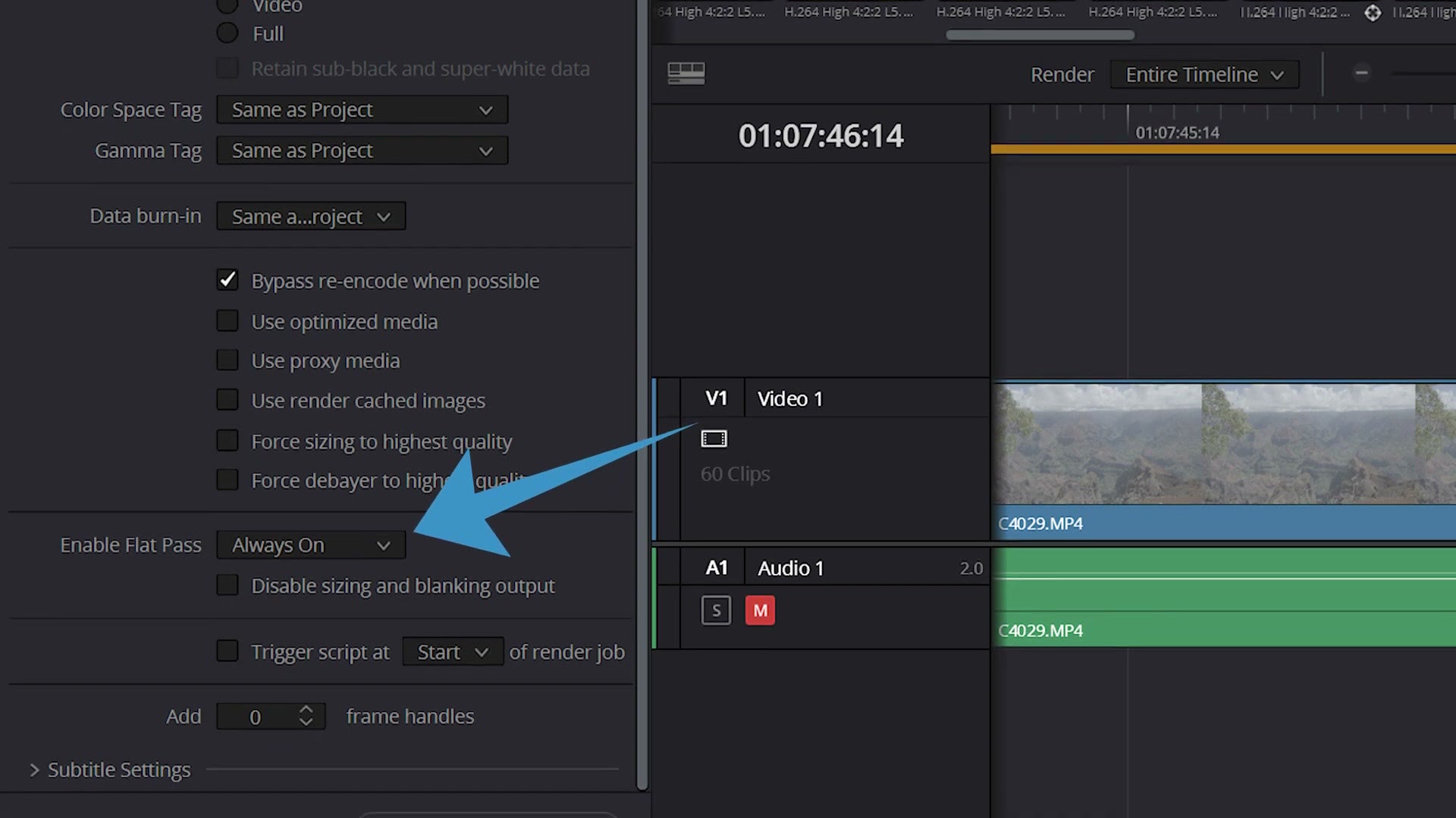 DaVinci Resolve advanced render settings with Enable Flat Pass set to always on