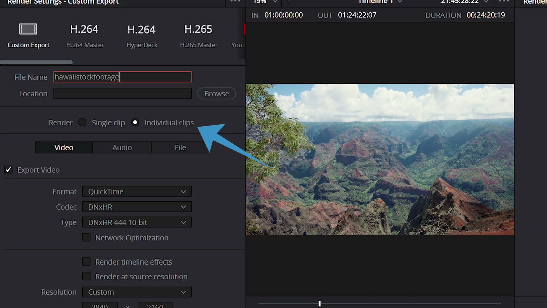 DaVinci Resolve render settings with the individual clips option highlighted
