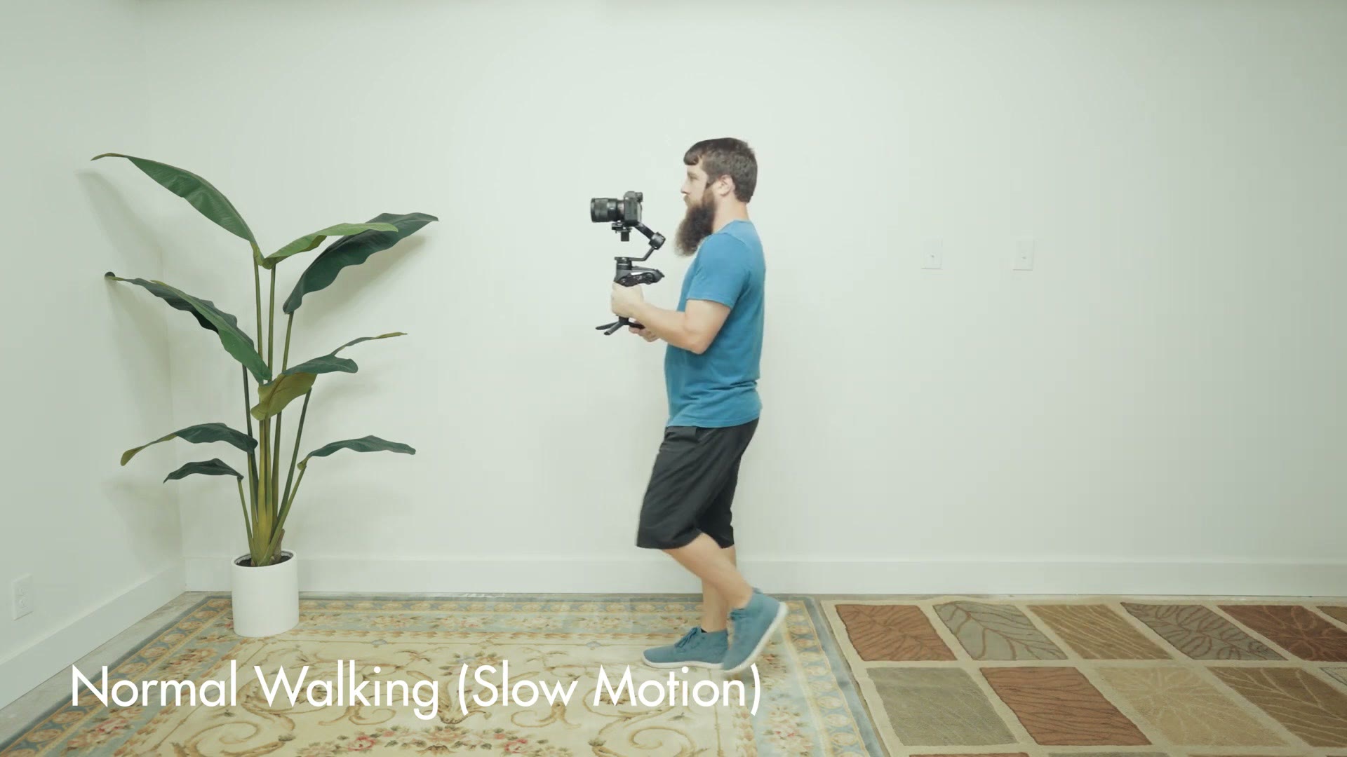 Roll stepping demonstrated at real time speed