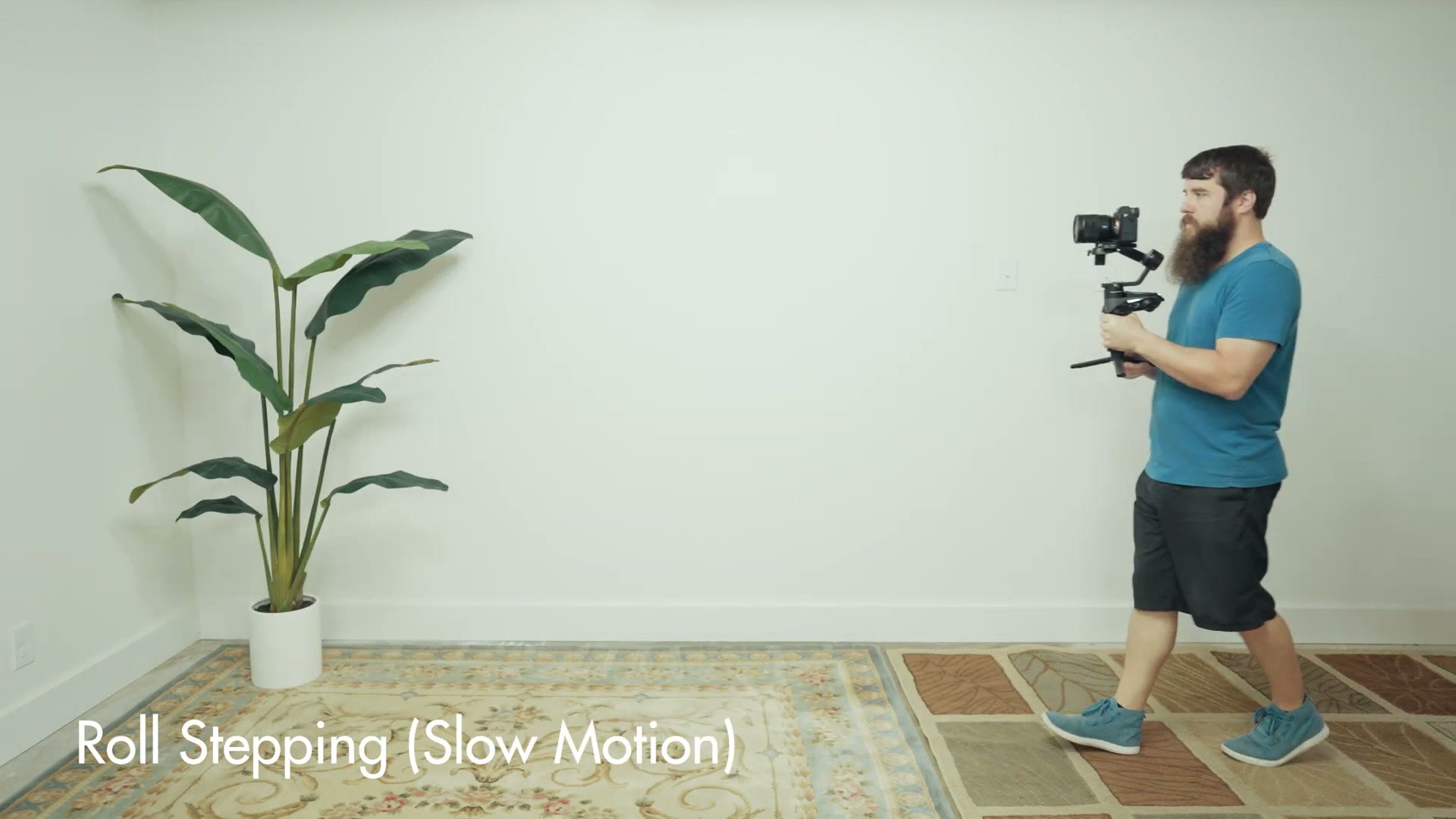 Slow motion side profile of roll stepping with a gimbal