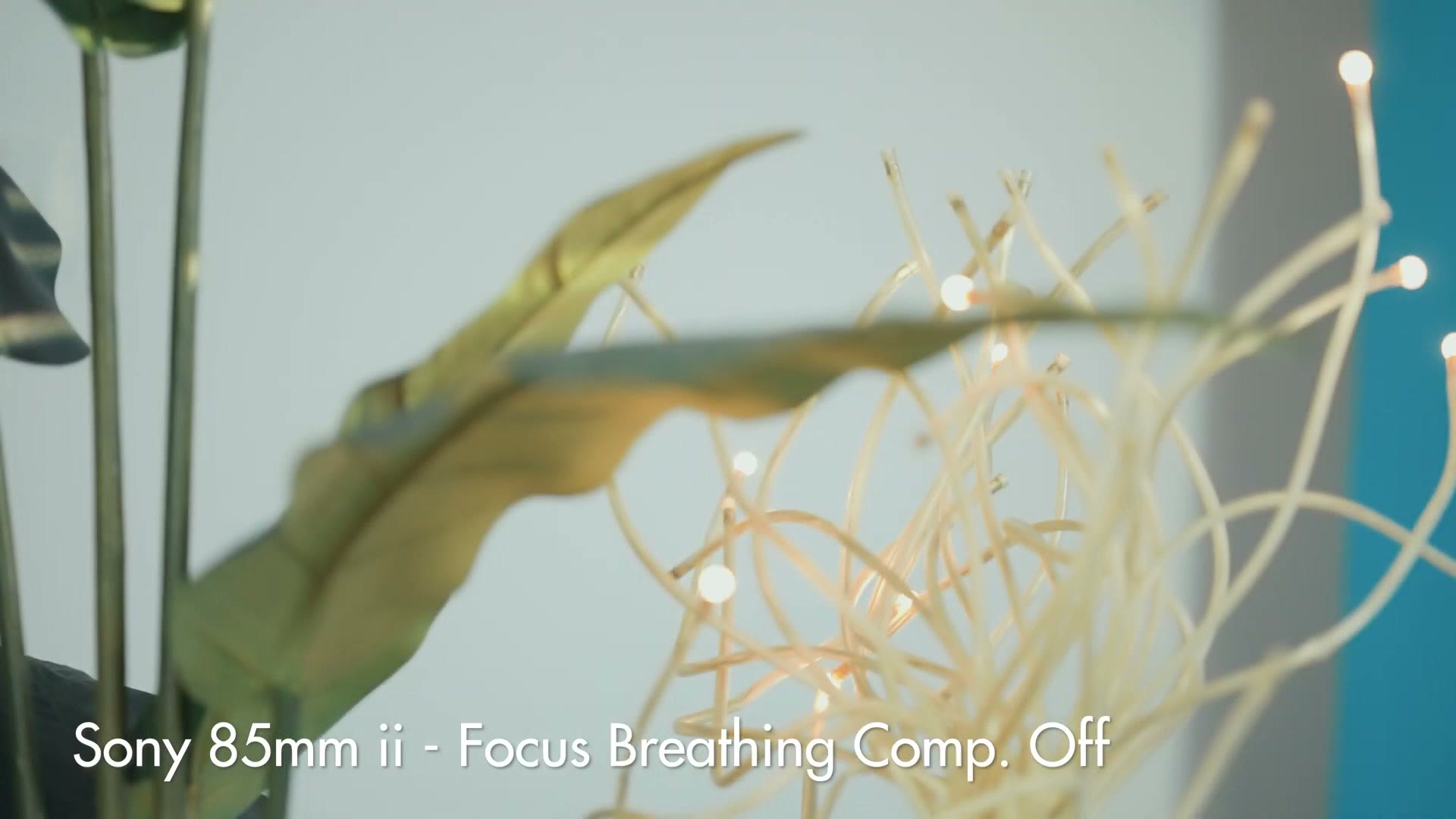 Focus pull test on the Sony 85mm GM II with focus breathing compensation off