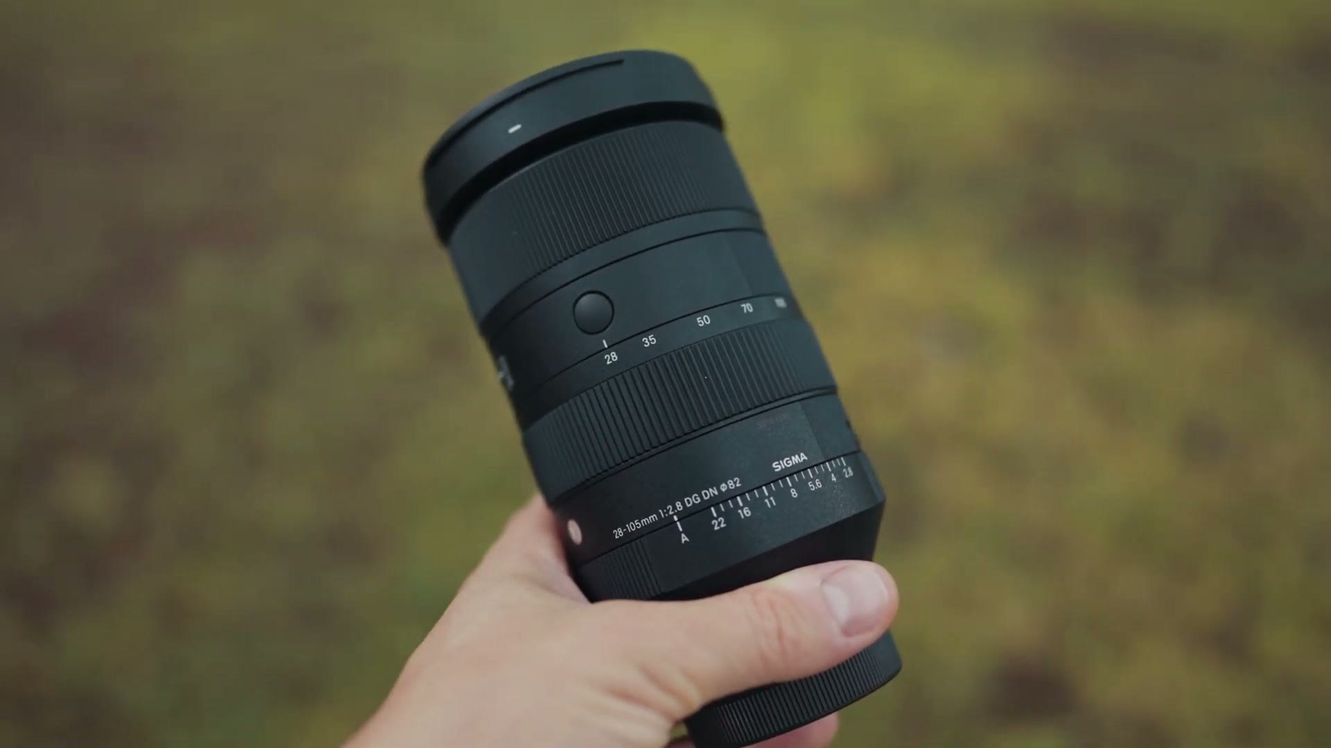 The Sigma 28-105 lens held up against greenery