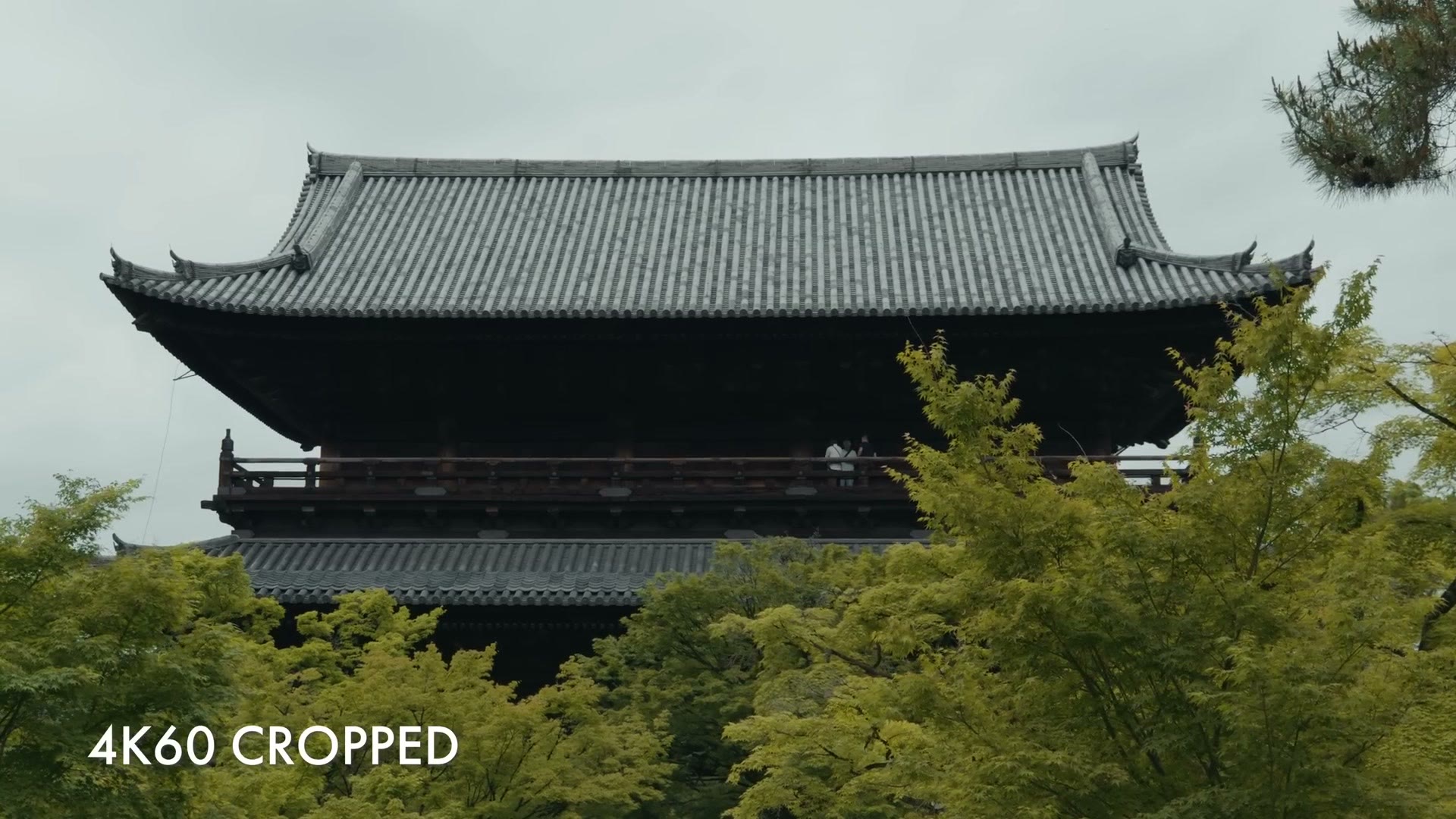 Cropped 4K60 sample footage from the Panasonic Lumix S9