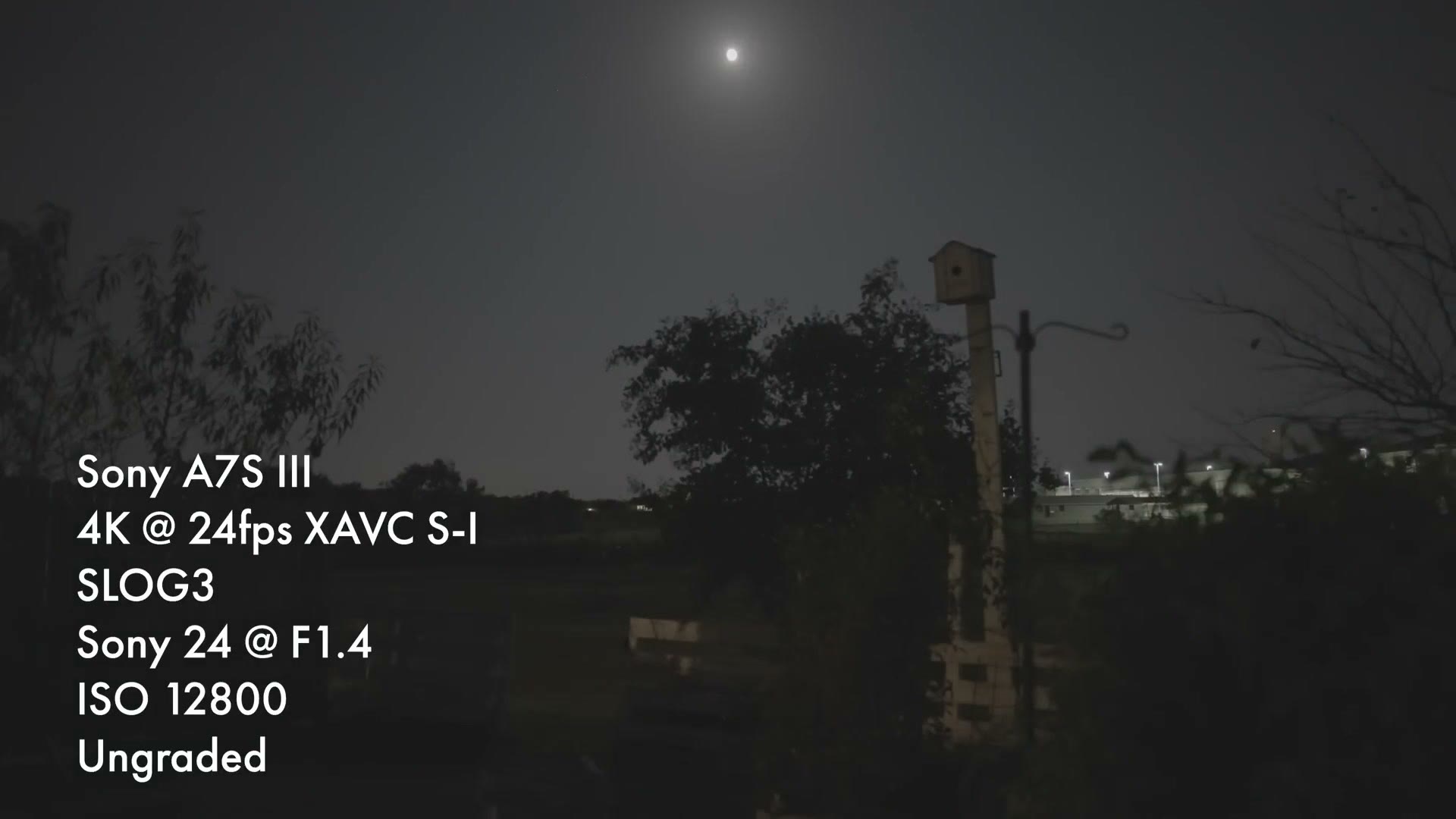 The same night test shot, overlaid with the same settings but ISO 12800, visibly cleaner.