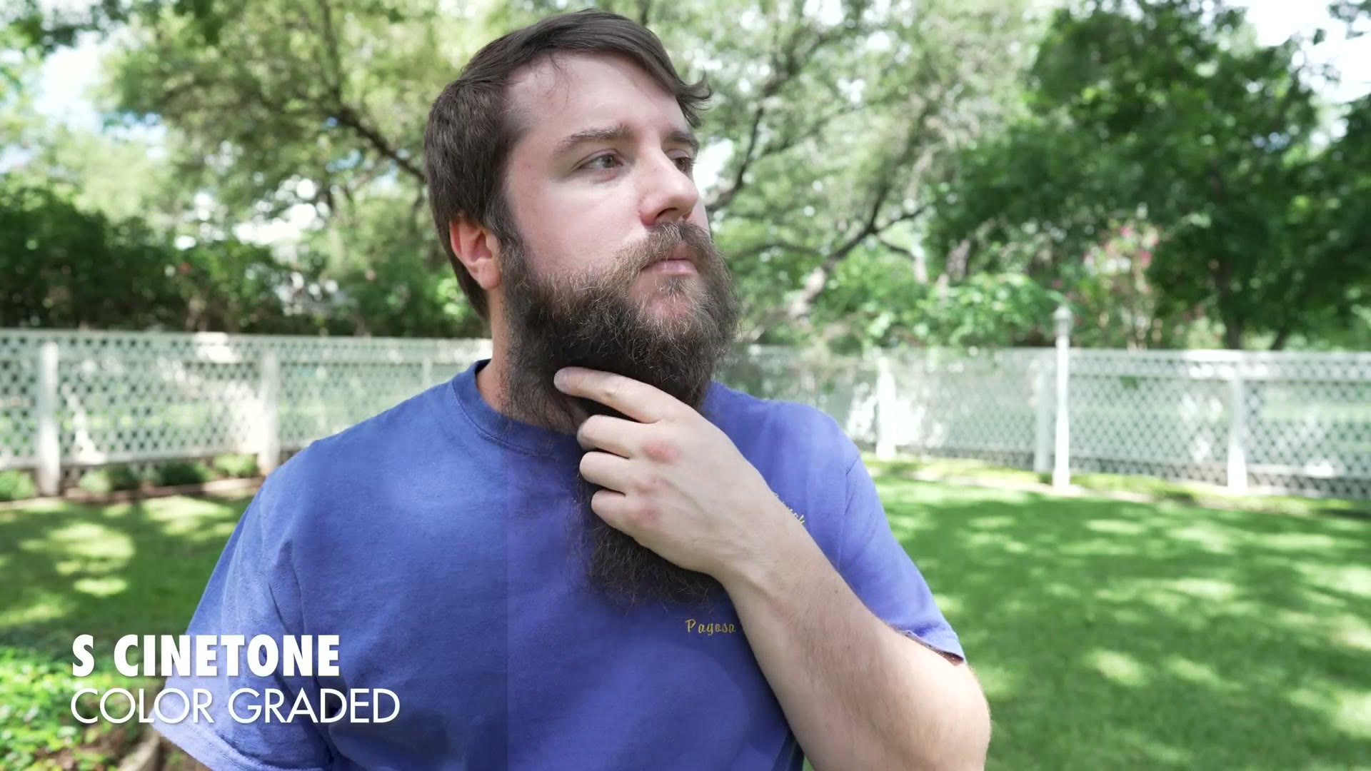The S-Cinetone backyard shot with a stronger grade applied, labelled S CINETONE COLOR GRADED
