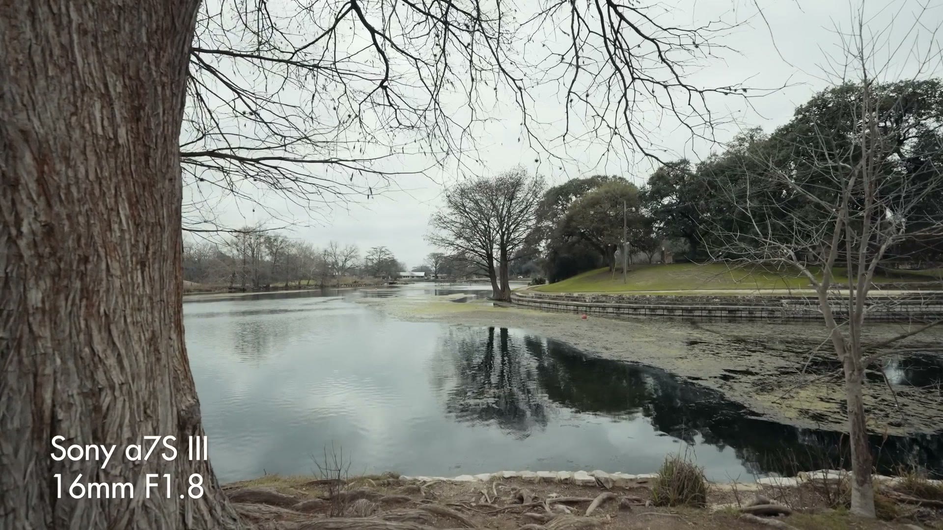 Sample footage from the Sony 16mm f/1.8 showing a wide shot of a Texas river with bare winter trees framing the edges, labelled Sony a7S III 16mm F1.8