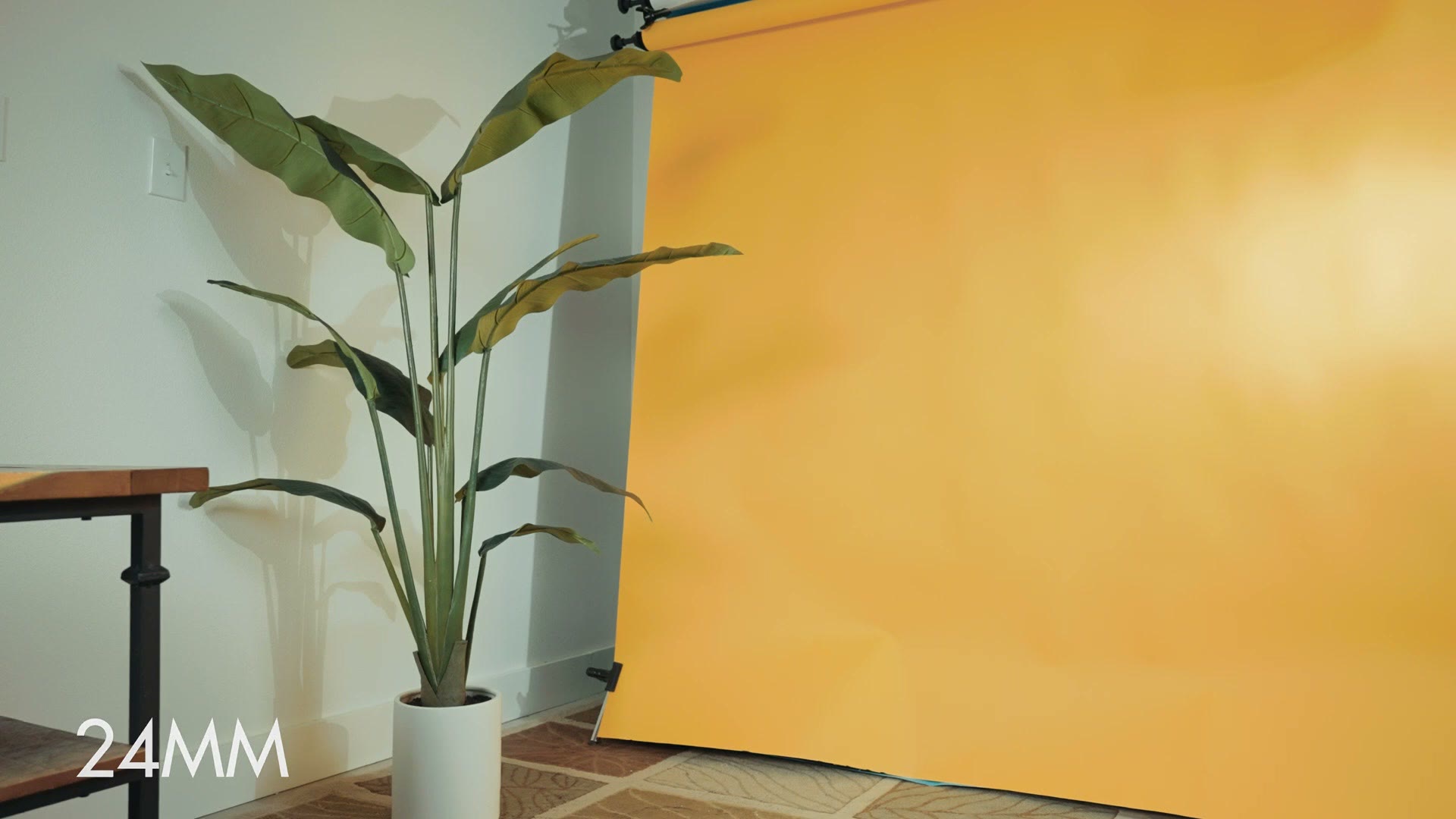 A studio corner with a plant and a yellow backdrop, labeled 24MM