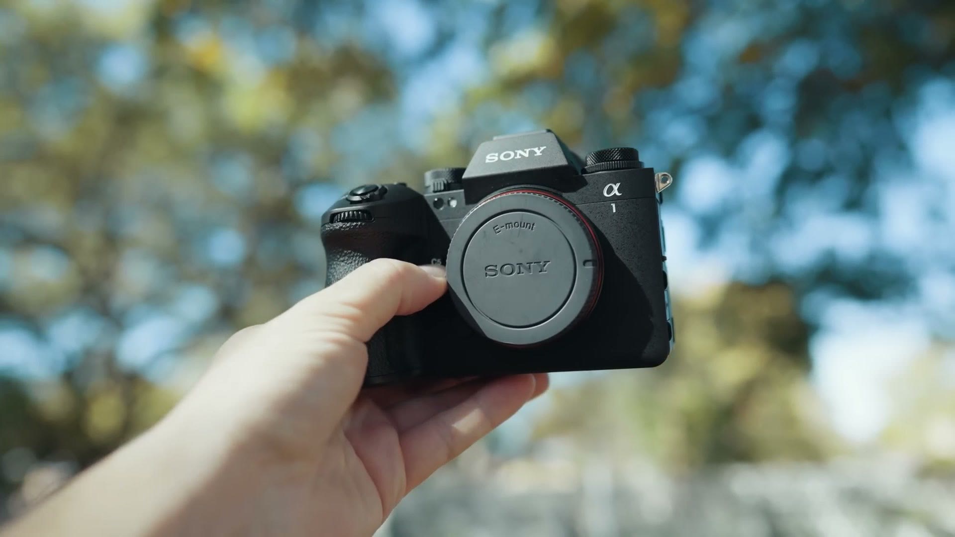 A Sony a1 II mirrorless camera body held in one hand outdoors with trees blurred in the background