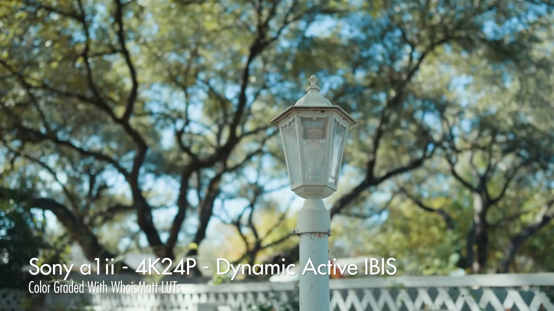 A handheld walking shot of a lamp post and trees labeled Sony a1ii - 4K24P - Dynamic Active IBIS