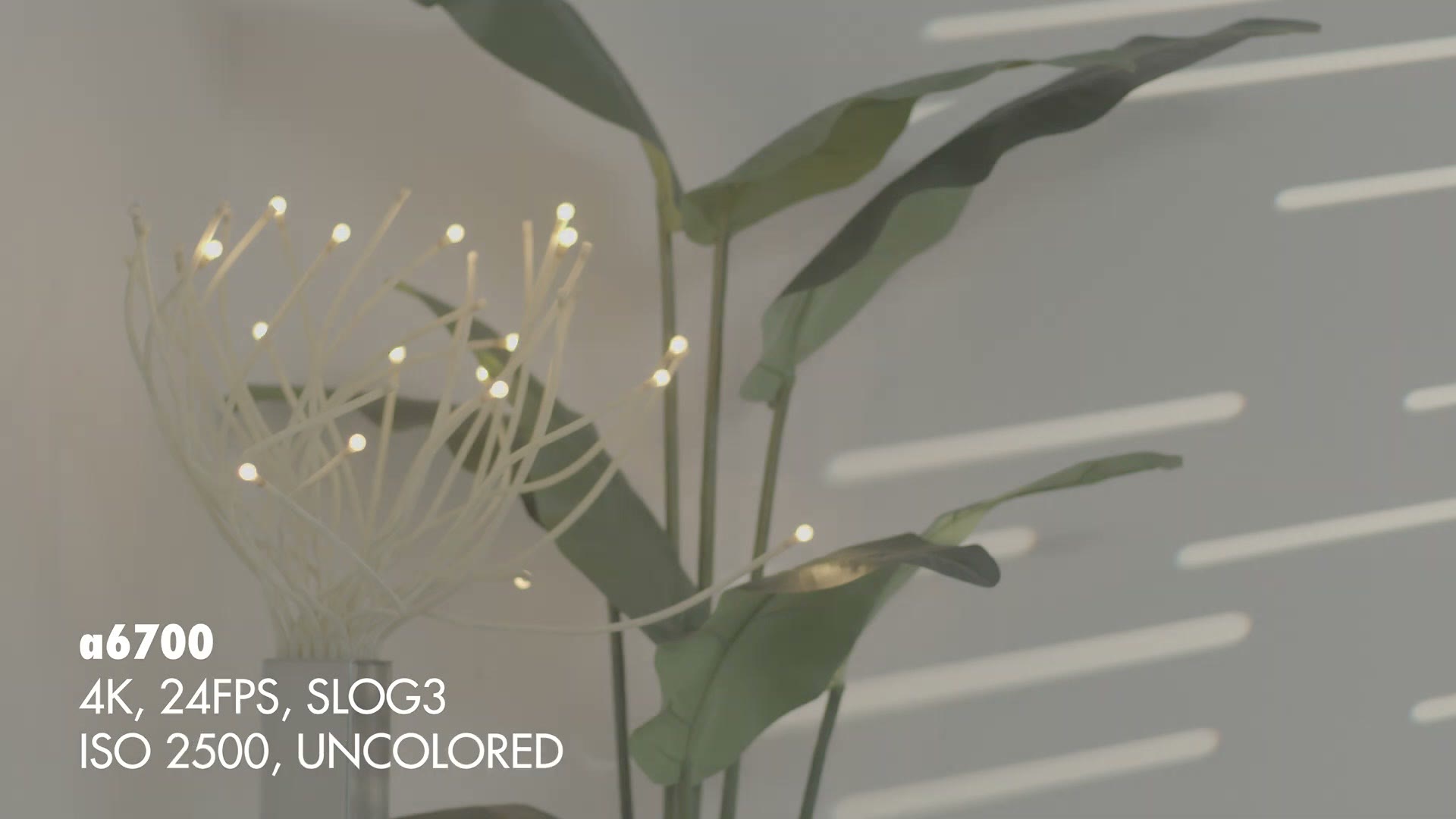 Uncolored S-Log3 footage from the a6700 shot at ISO 2500