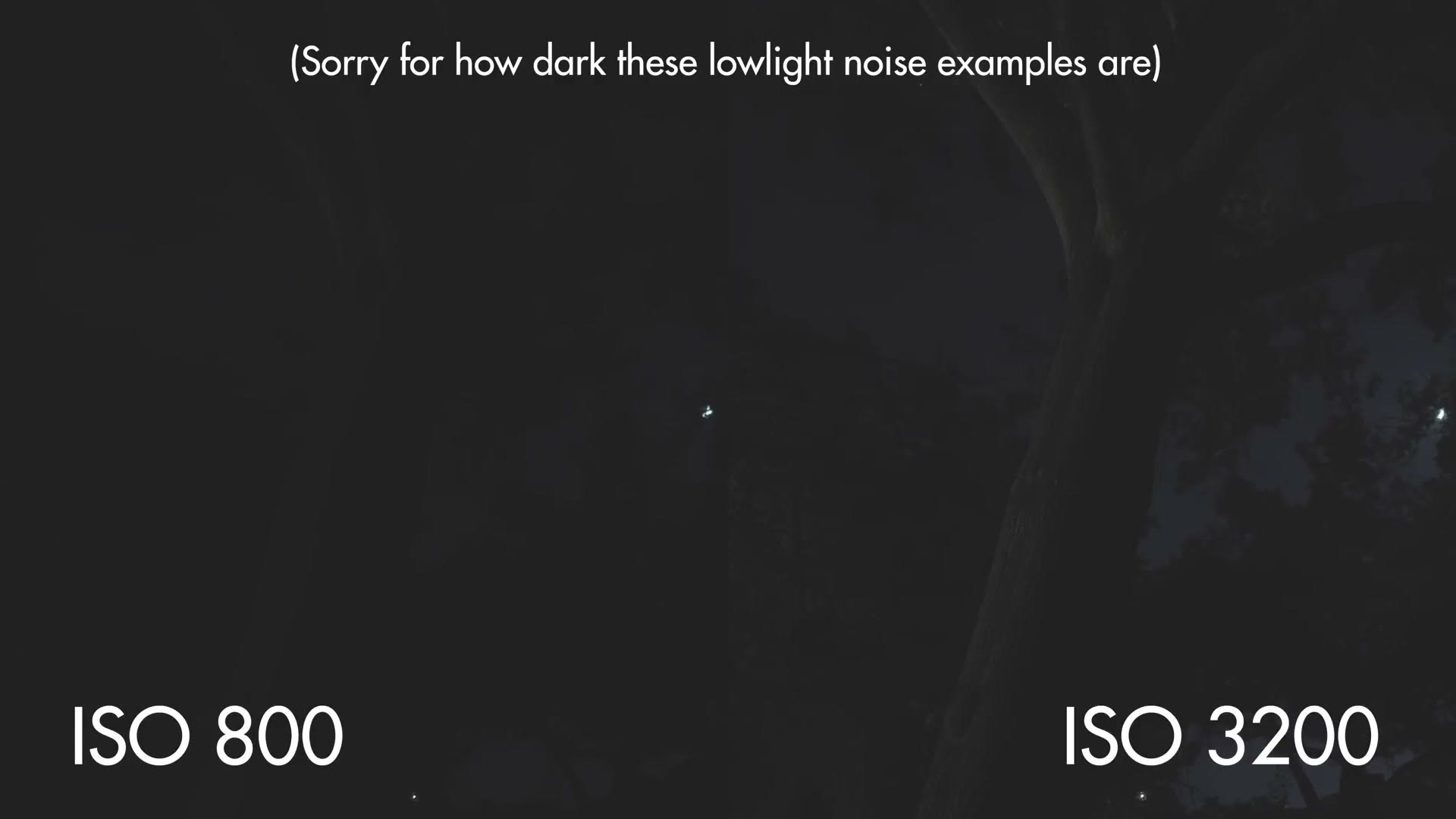 Side by side low light comparison of Sony a7 IV footage at ISO 800 and ISO 3200