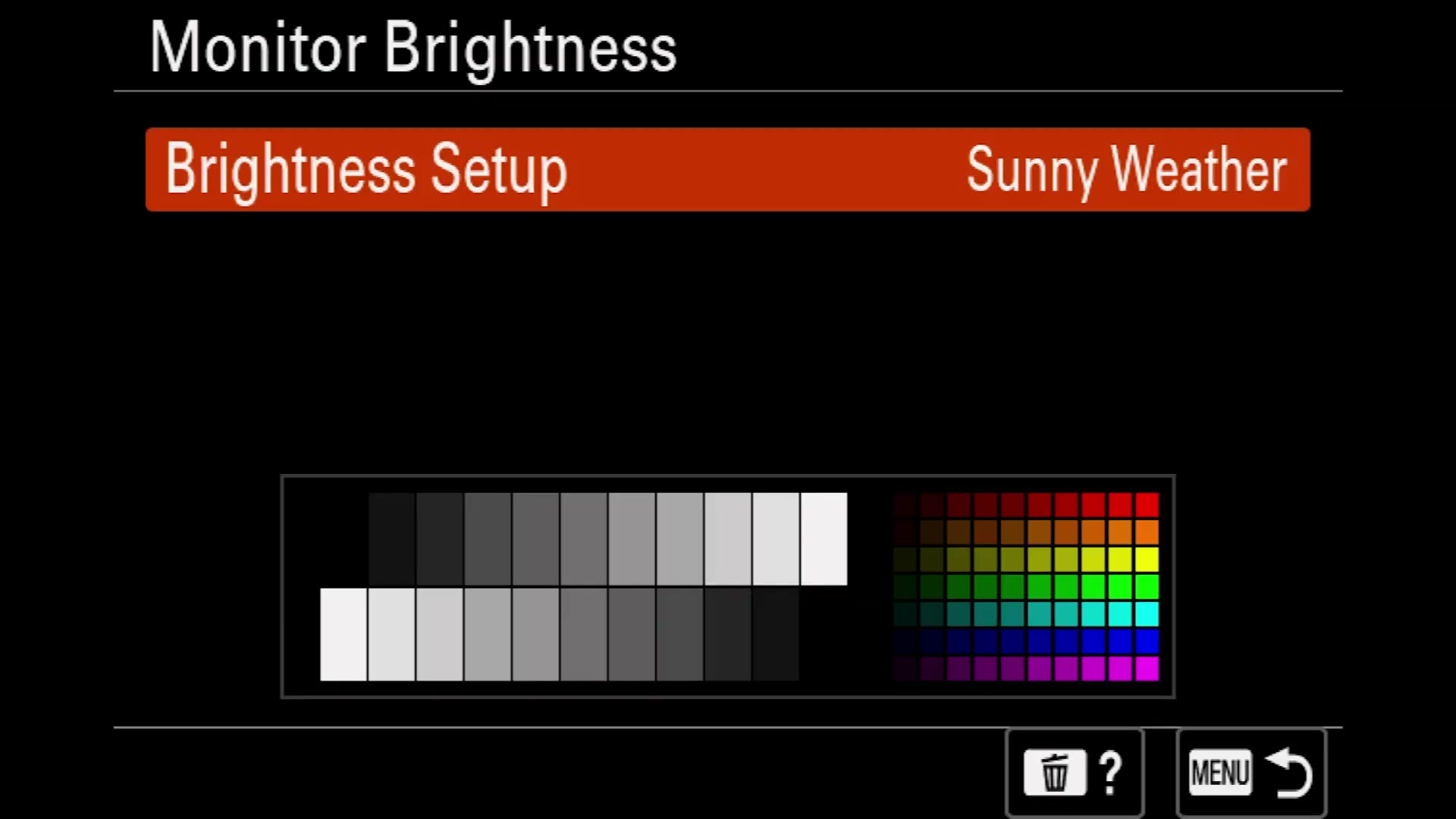 Sony a7 IV Monitor Brightness set to Sunny Weather