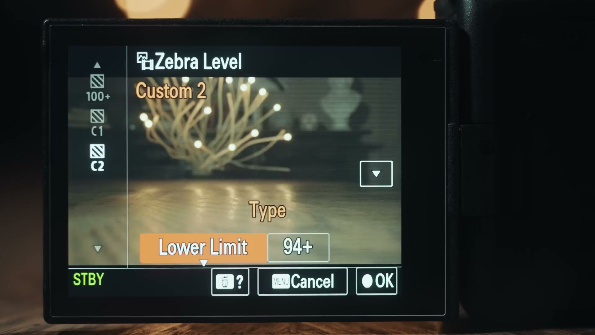 Sony a7 IV Zebra Level set to Custom 2 with the Lower Limit set to 94 plus