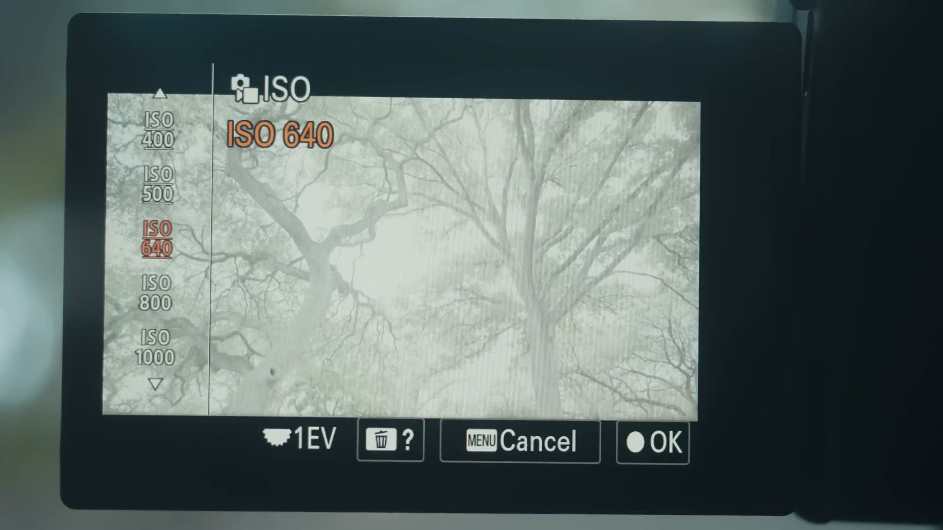 Sony a7 IV at ISO 640 with the zebra stripes no longer appearing at all