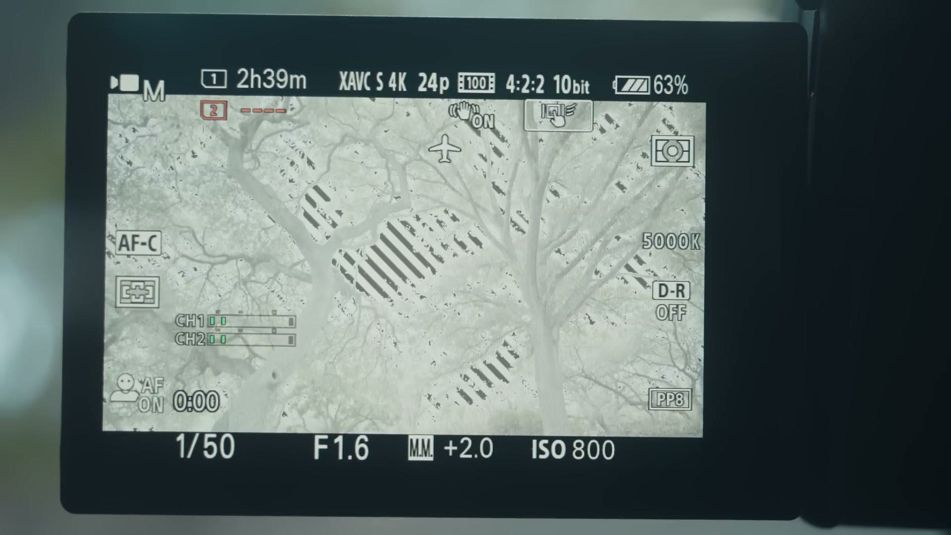 Sony a7 IV rear screen at plus two stops with zebra stripes over the overexposed areas