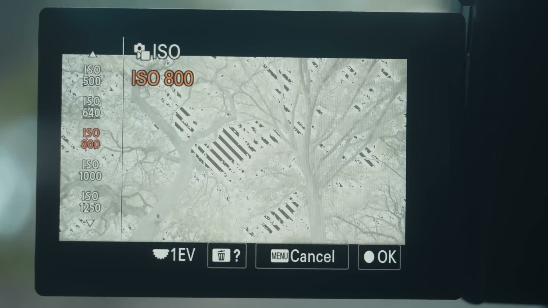 Sony a7 IV at ISO 800 with zebra stripes correctly showing the overexposed areas