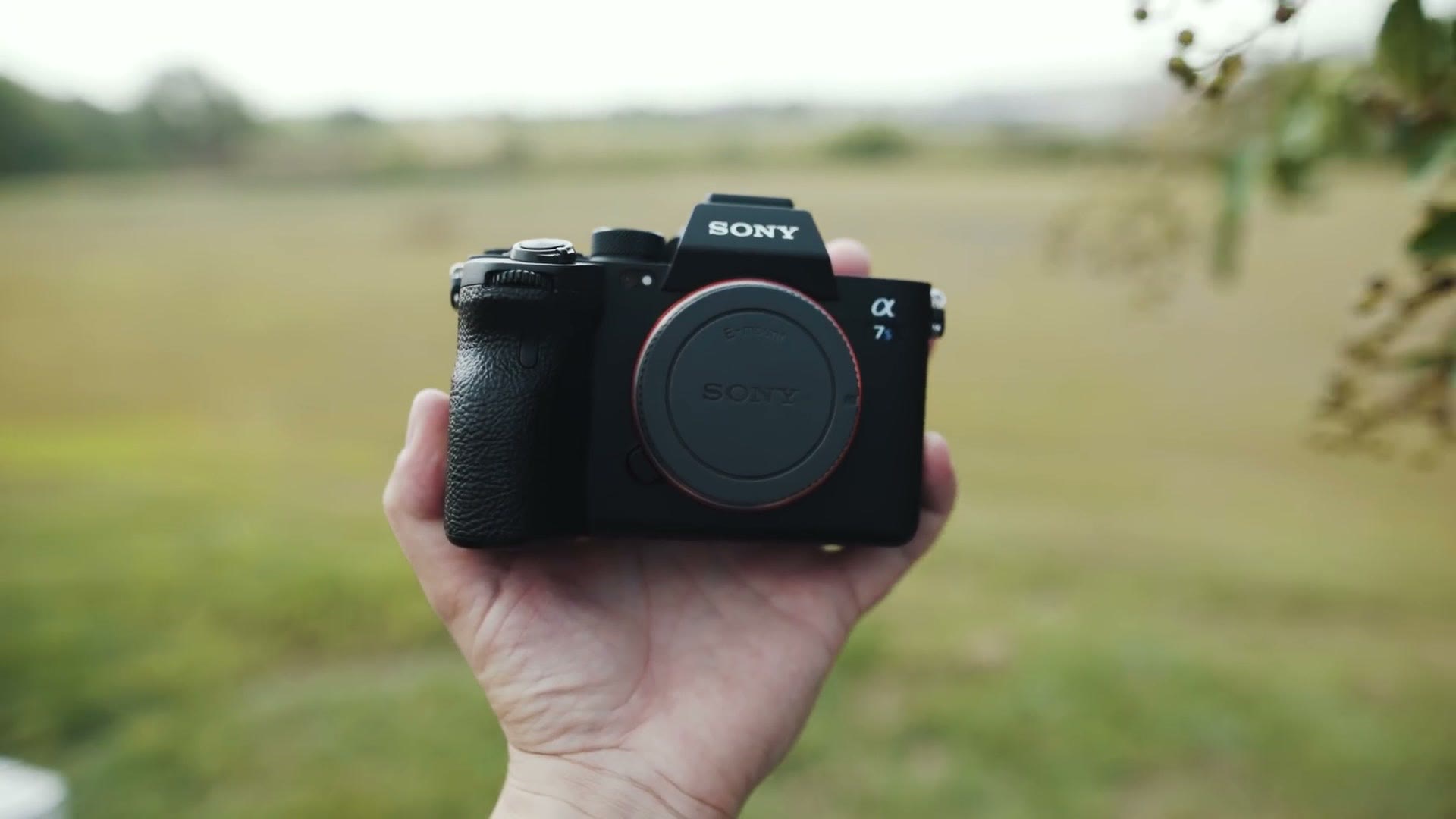A Sony a7S III body held in one hand outdoors in front of a field