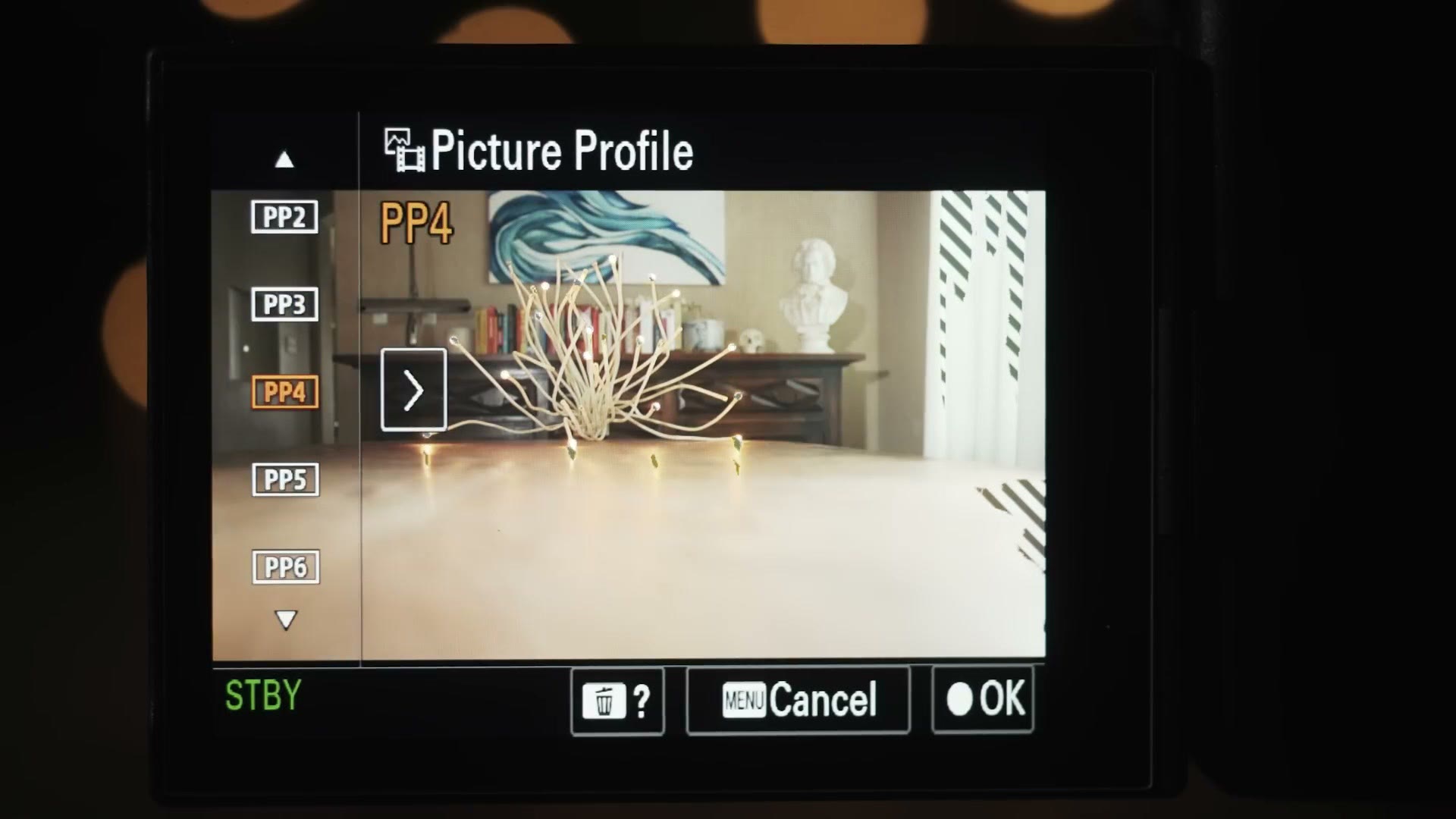 The Sony a7S III picture profile menu with PP4 selected