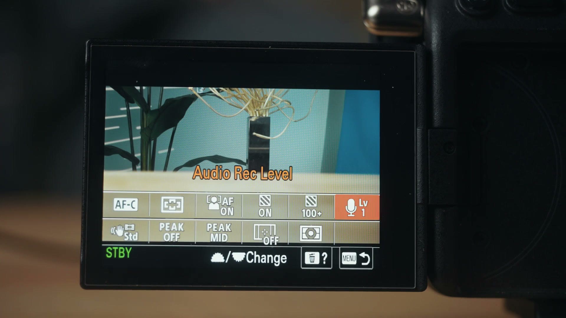 The Sony a7S III audio recording level menu