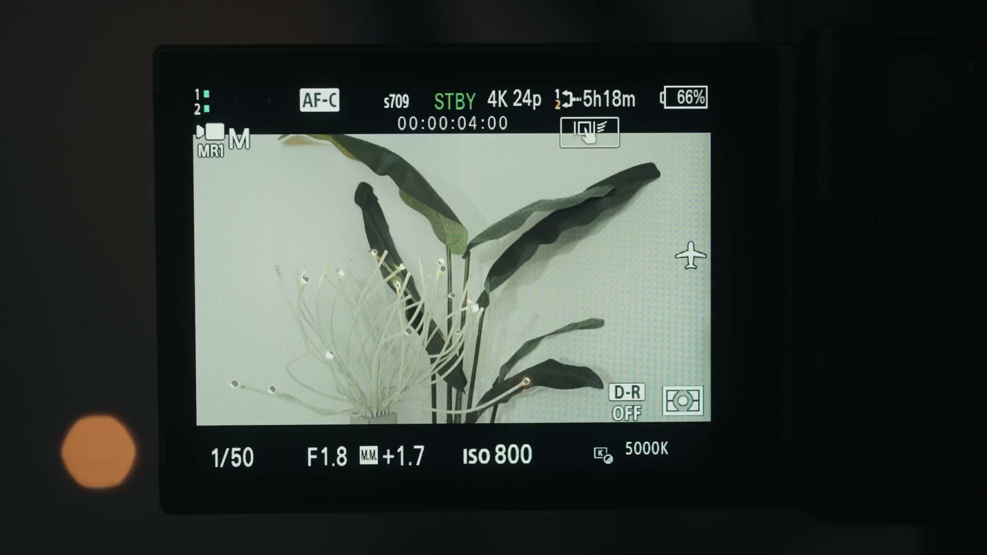 The Sony FX30 Focus Map colored overlay on a plant