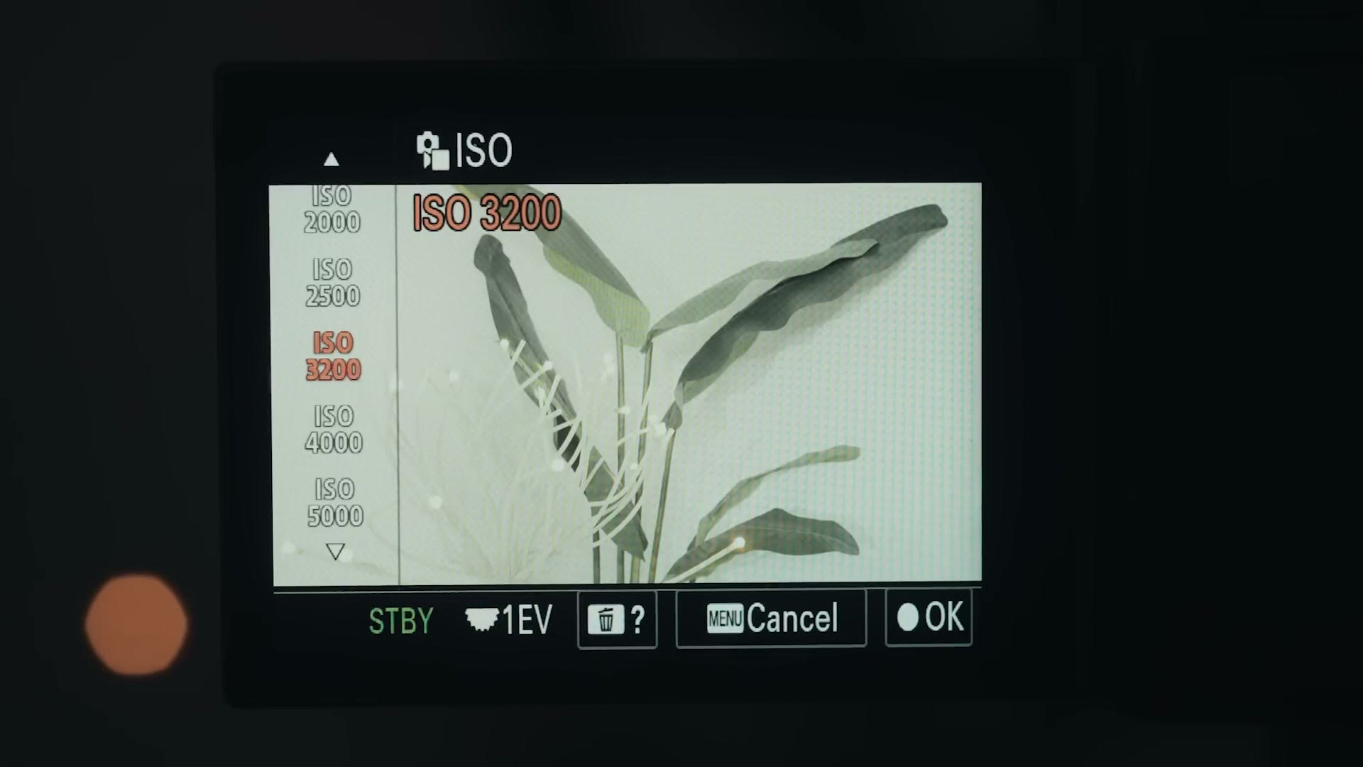 Sony ISO menu showing ISO 25600 selected