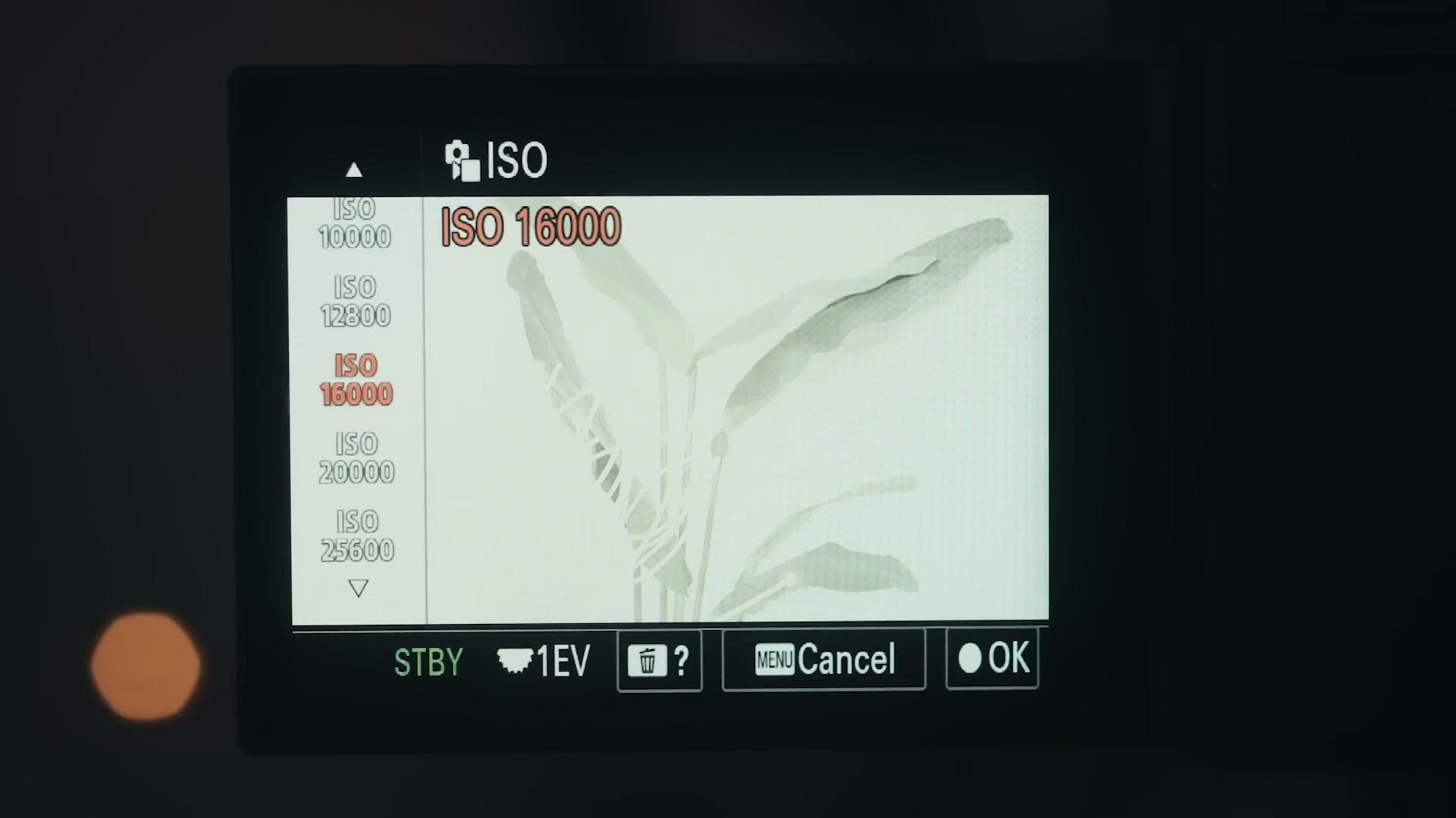 Sony camera ISO menu showing the full ladder of ISO values