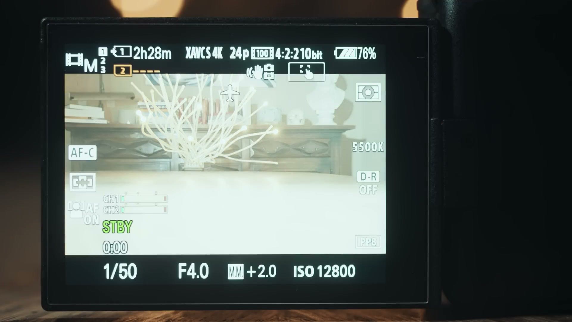 Sony camera display showing metering at plus 2.0