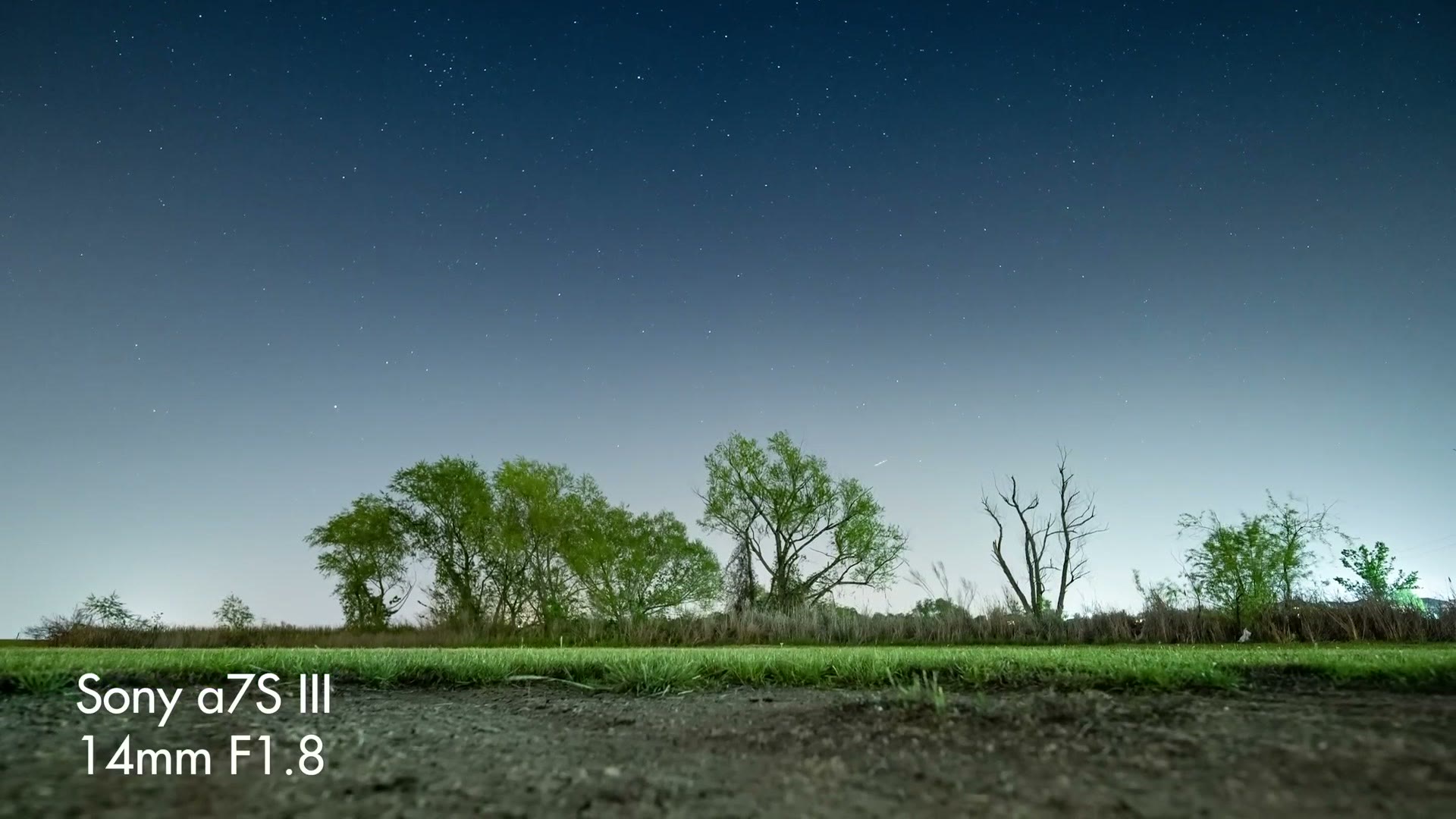 Night timelapse frame taken from ground level, gravel and grass in the immediate foreground with a treeline and star field beyond, overlaid Sony a7S III 14mm F1.8