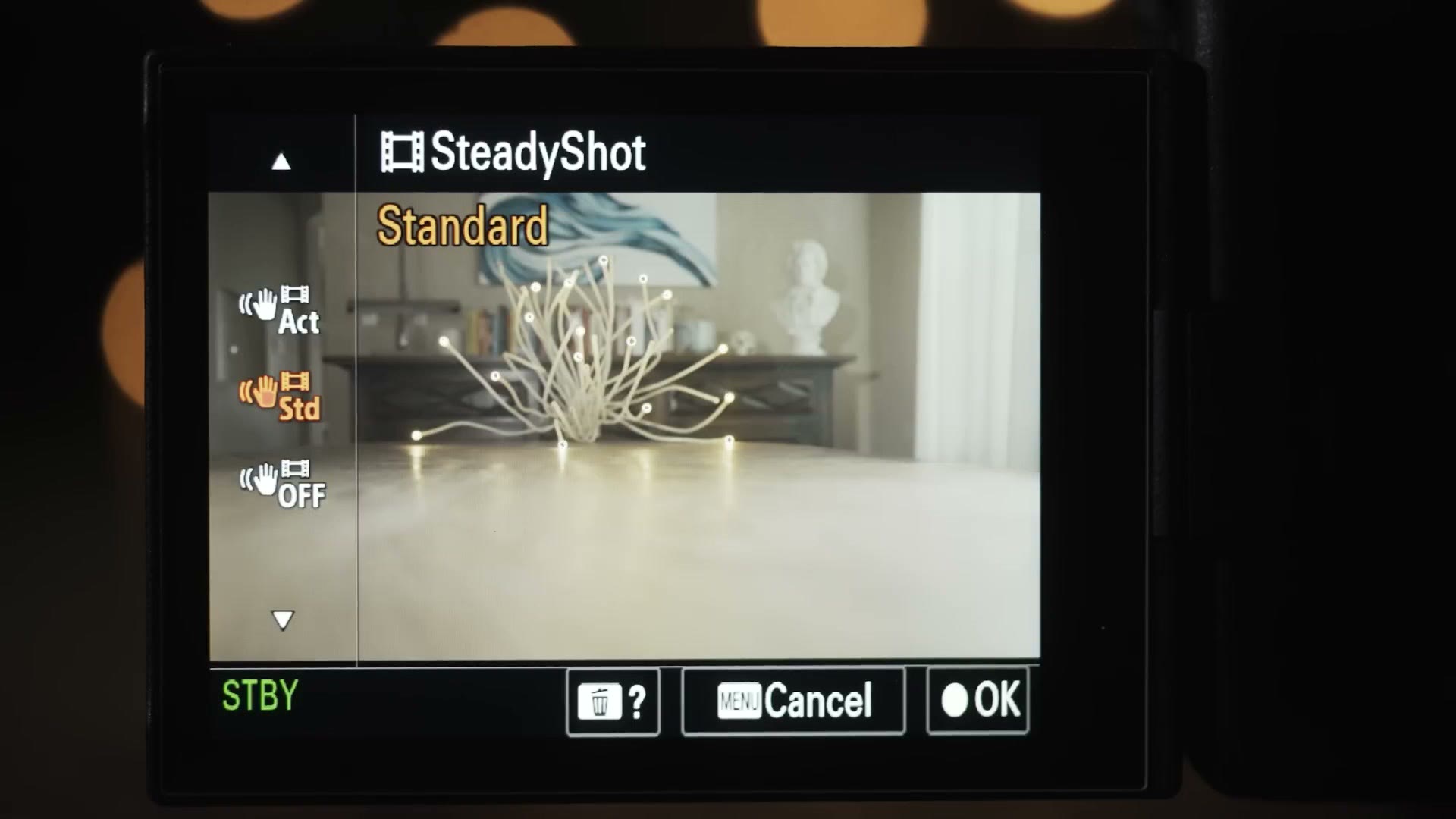 SteadyShot menu showing standard and active modes