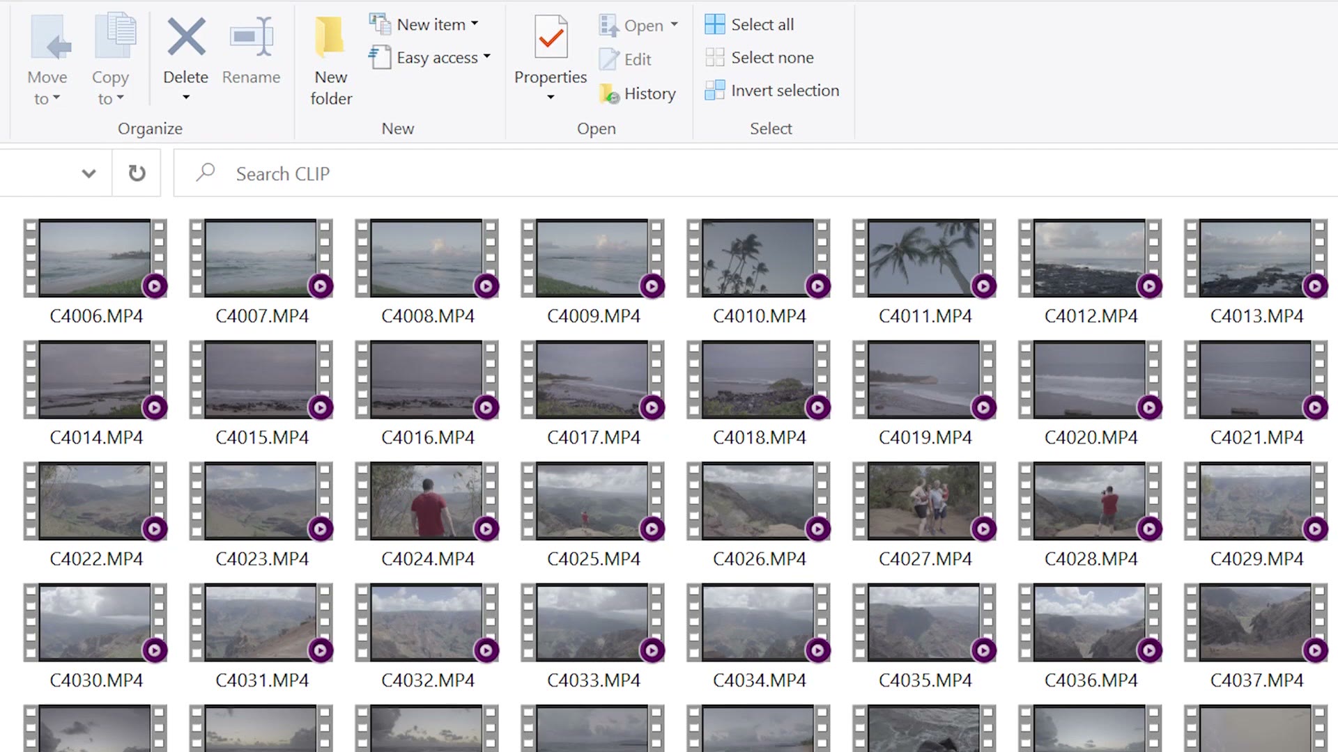 A folder full of video clip thumbnails from a shoot