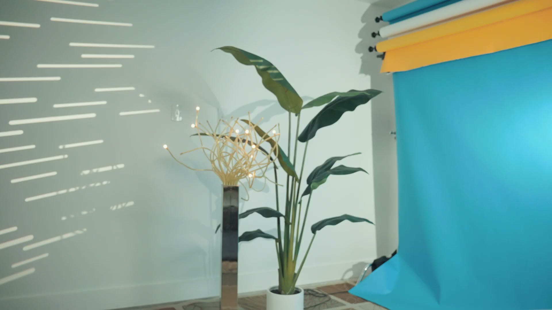 A studio plant and backdrop shot on the Tamron 28-75 G2