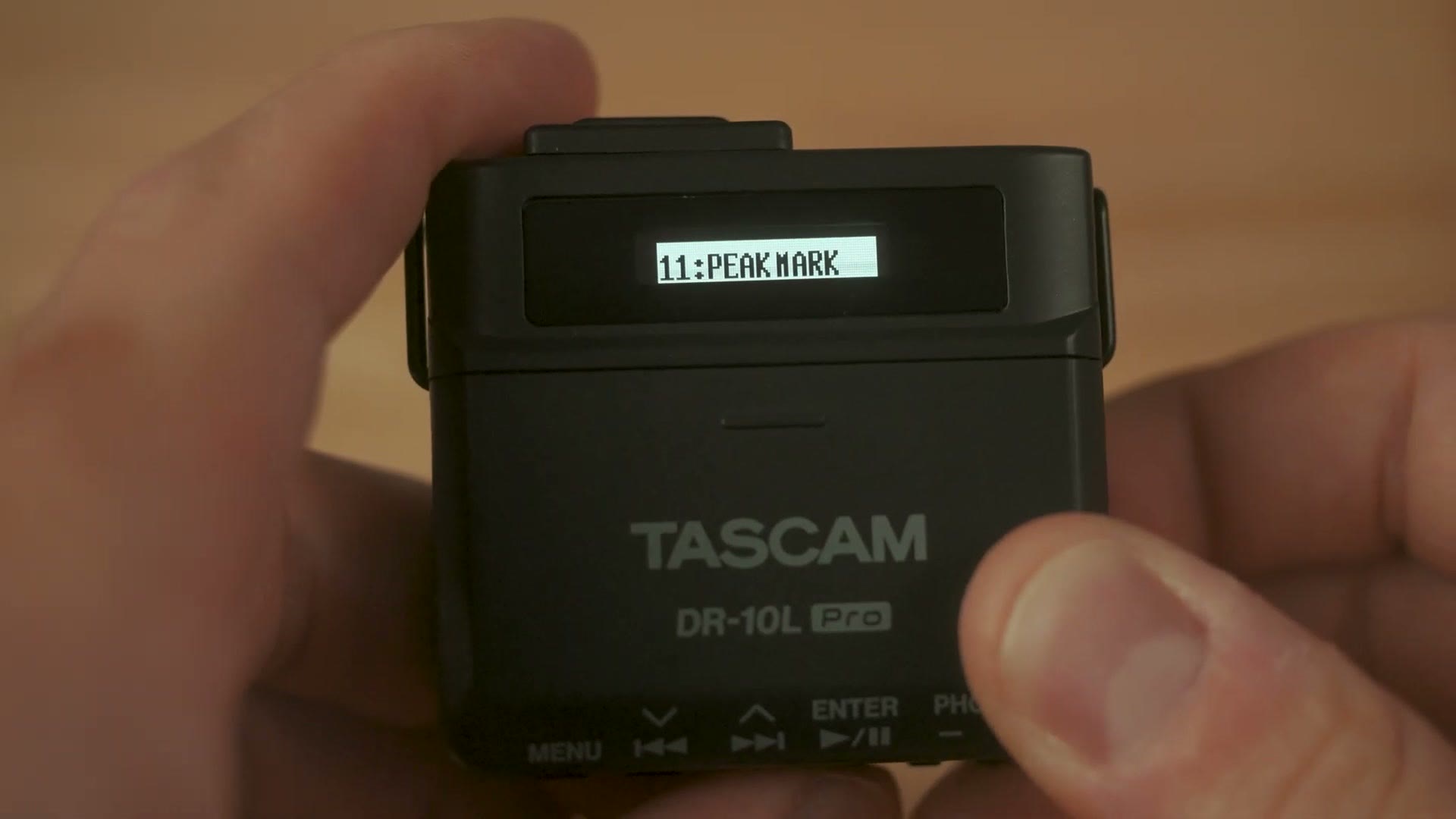 The DR-10L Pro screen showing menu 11, Peak Mark