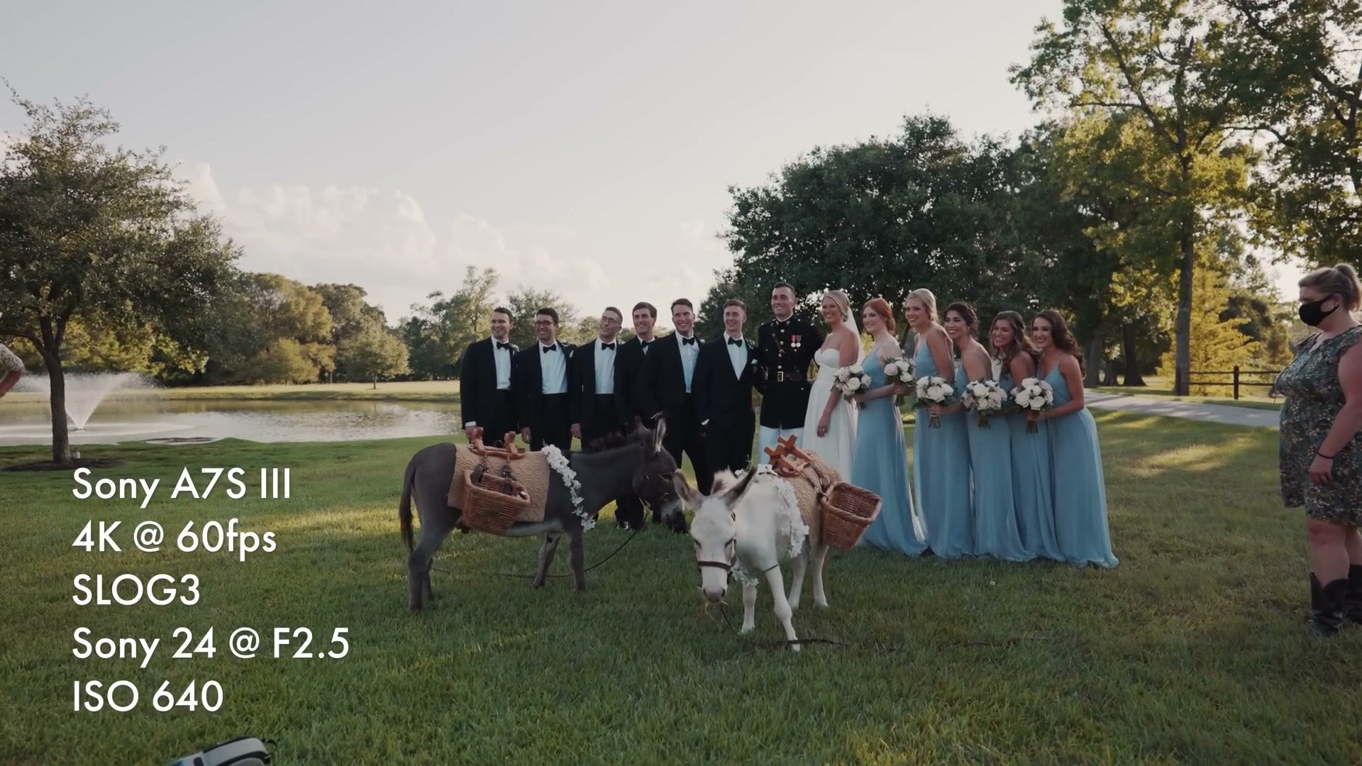 Wedding party b-roll