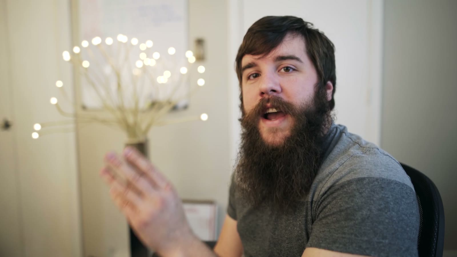 Bearded man mid-sentence with one hand raised palm-up beside a string-light branch decoration