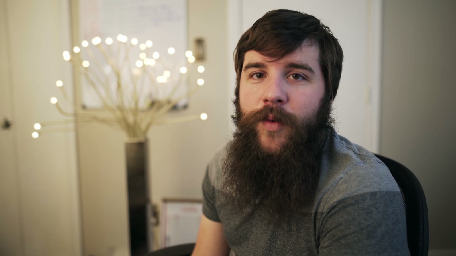 Bearded man in a gray shirt talking to camera with a neutral expression, string lights on a branch behind him