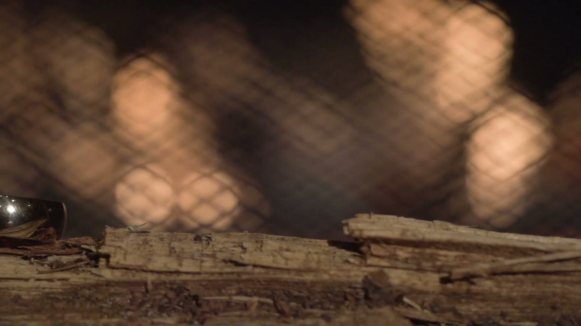 Wedding rings resting on a log with a fire burning in the background