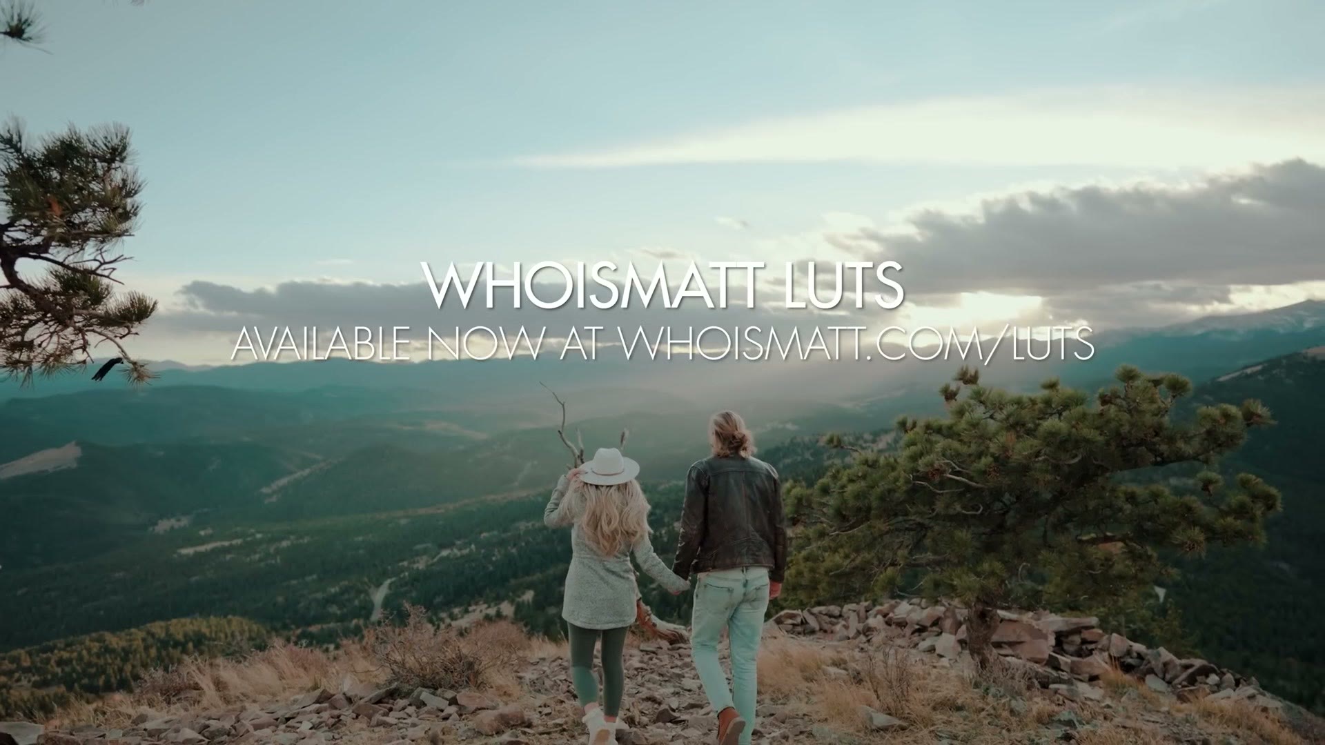 Promo card for the WhoisMatt LUTs color presets