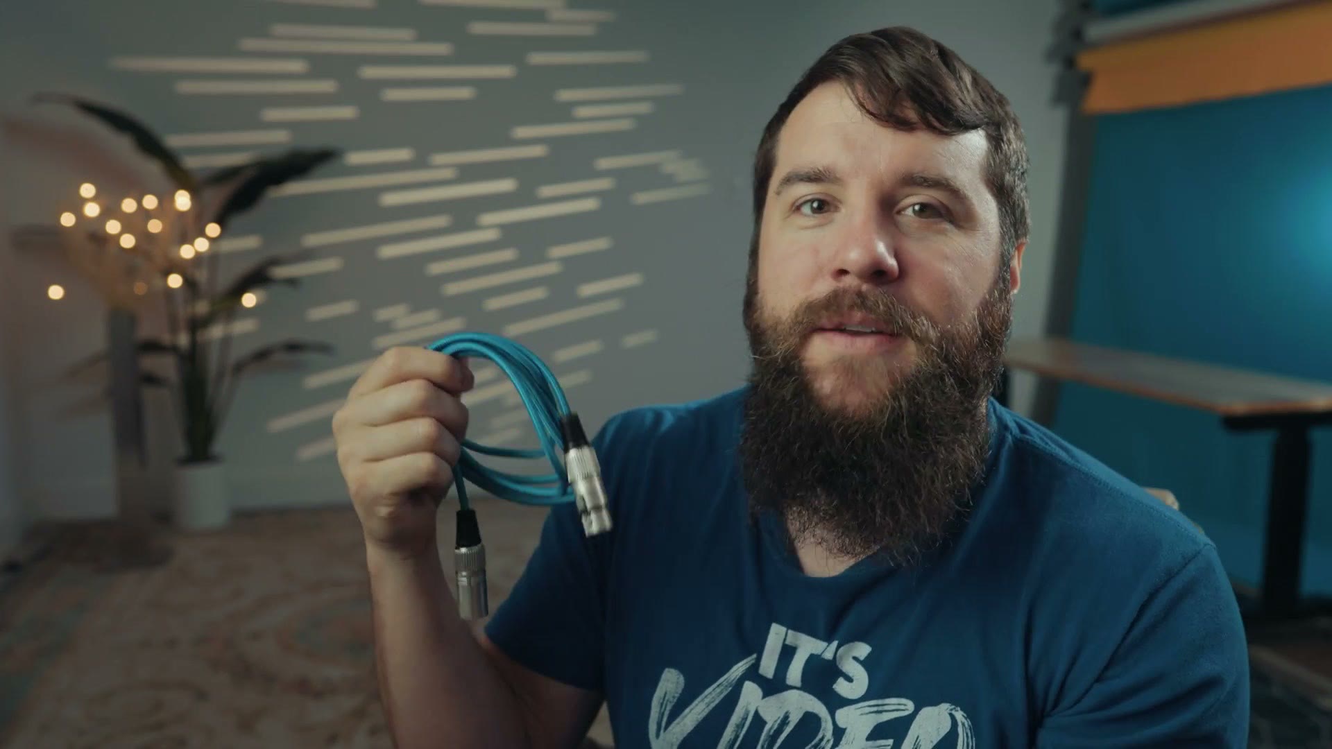 An XLR cable held up showing both connector ends