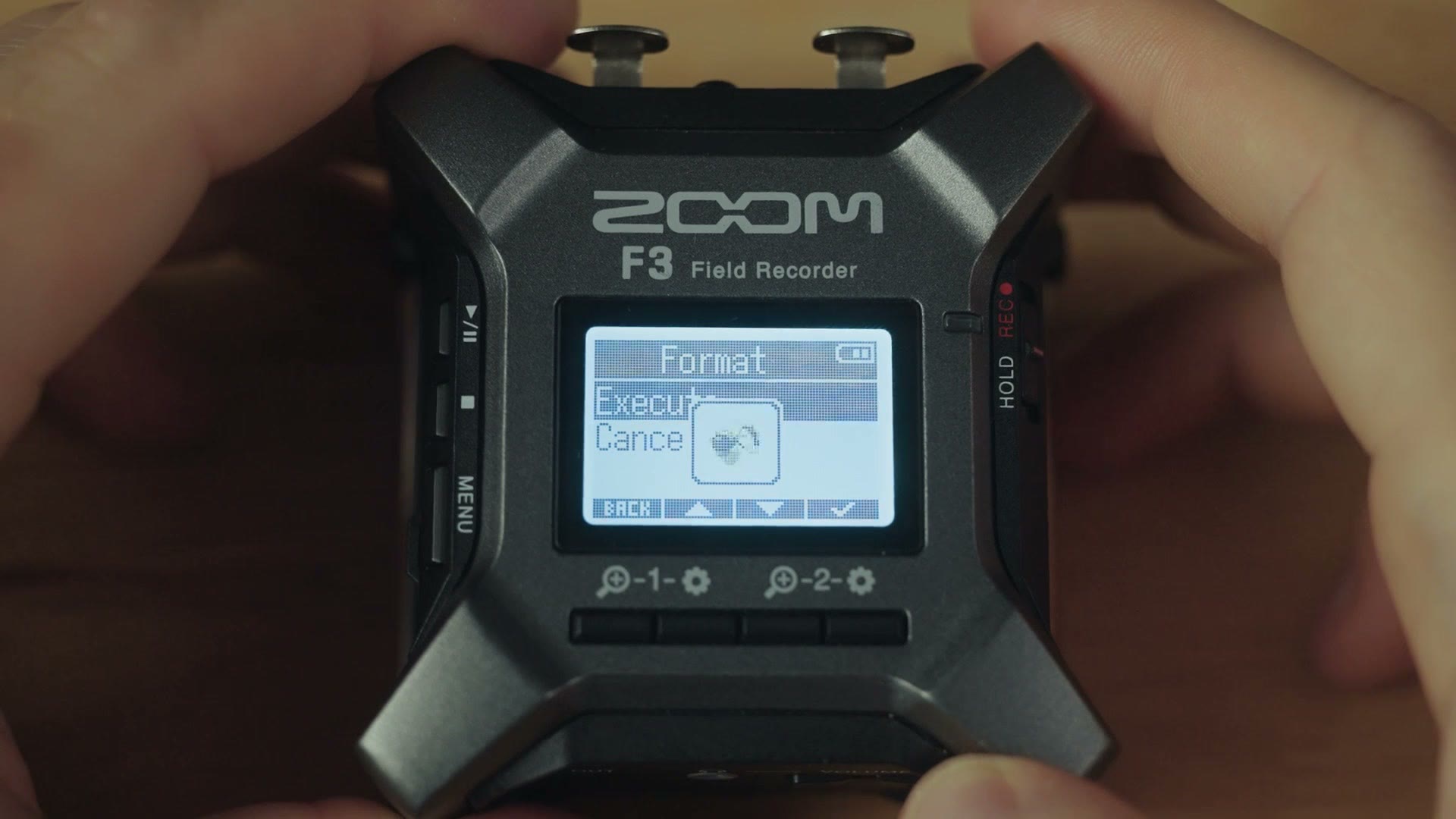 Zoom F3 Format screen with Execute and Cancel options