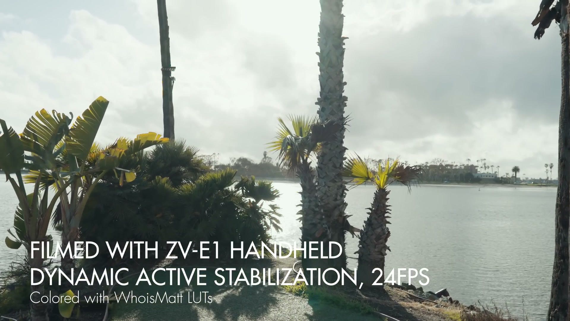 Handheld footage of palm trees filmed with the ZV-E1 using dynamic active stabilization