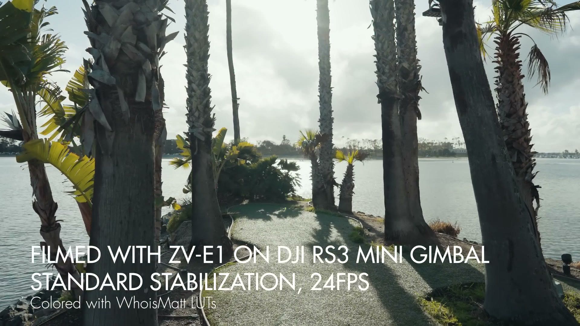 Handheld footage on a gimbal filmed with the ZV-E1 using standard stabilization