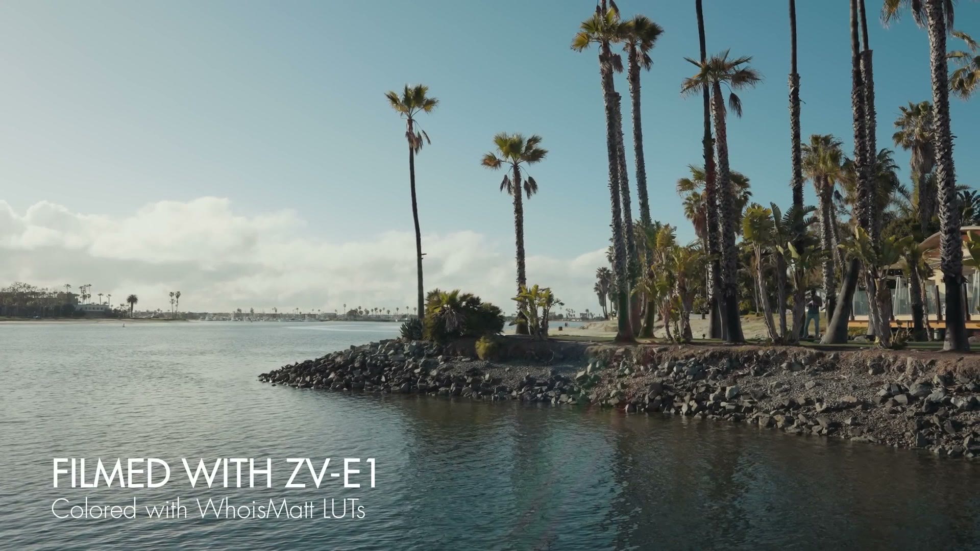 Palm trees and a lagoon filmed with the Sony ZV-E1